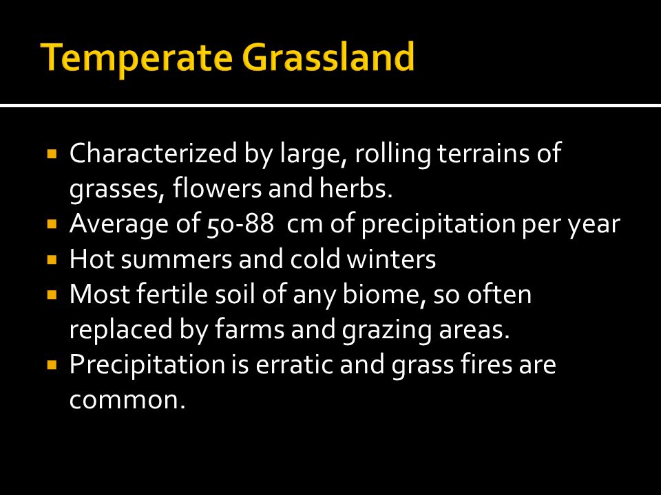 Temperate Grassland Characterized by large, rolling terrains of grasses, flowers and herbs. Average of cm of precipitation per year.