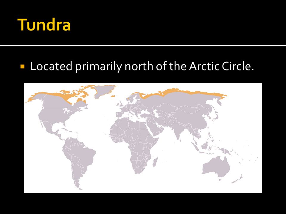 Tundra Located primarily north of the Arctic Circle.
