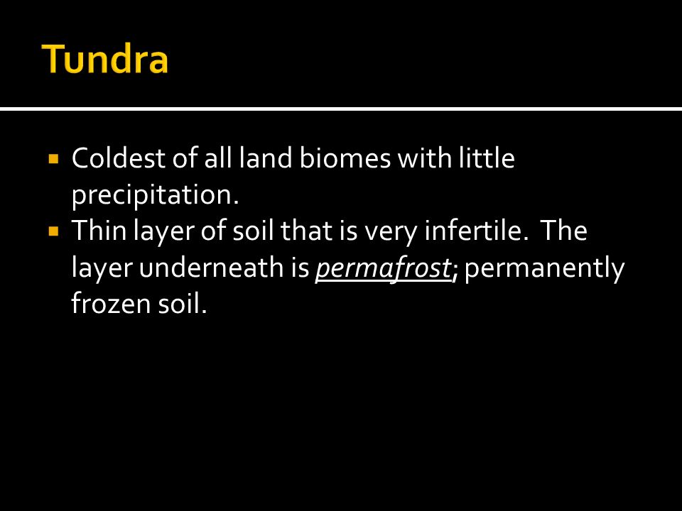 Tundra Coldest of all land biomes with little precipitation.