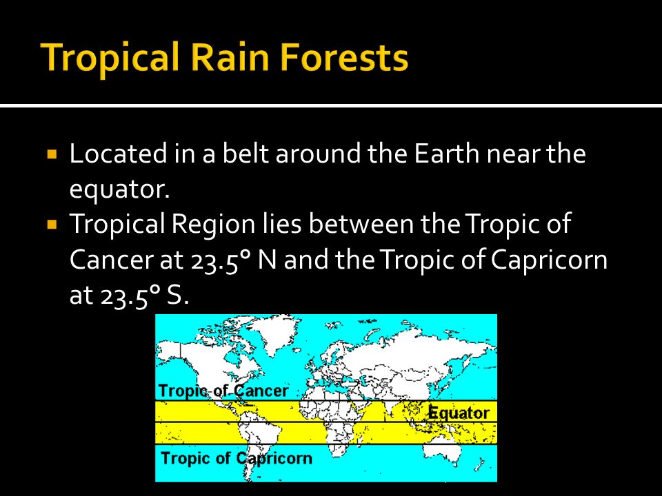 Tropical Rain Forests Located in a belt around the Earth near the equator.