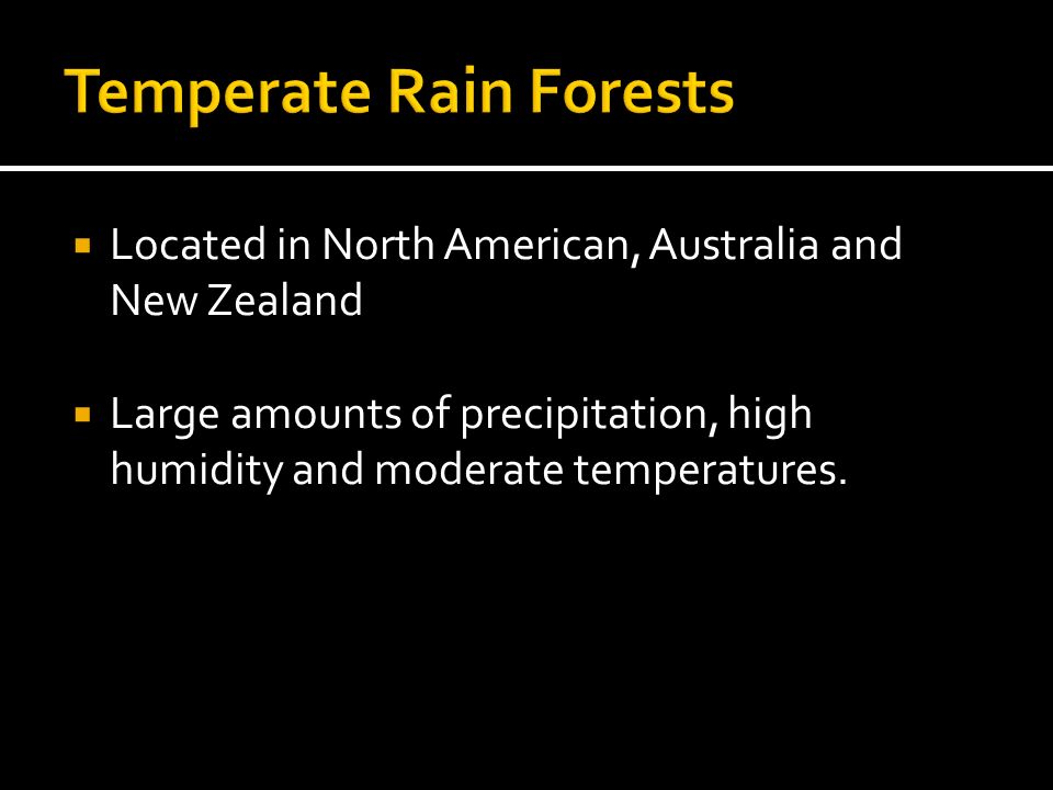 Temperate Rain Forests