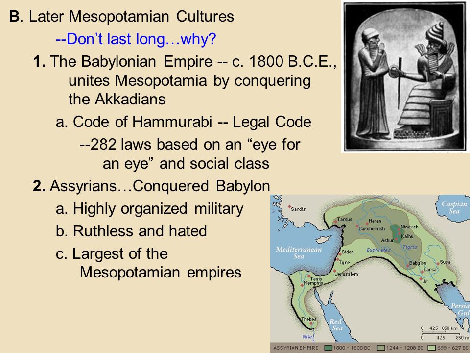 B. Later Mesopotamian Cultures