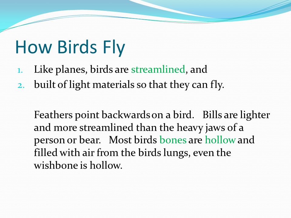 How Birds Fly Like planes, birds are streamlined, and