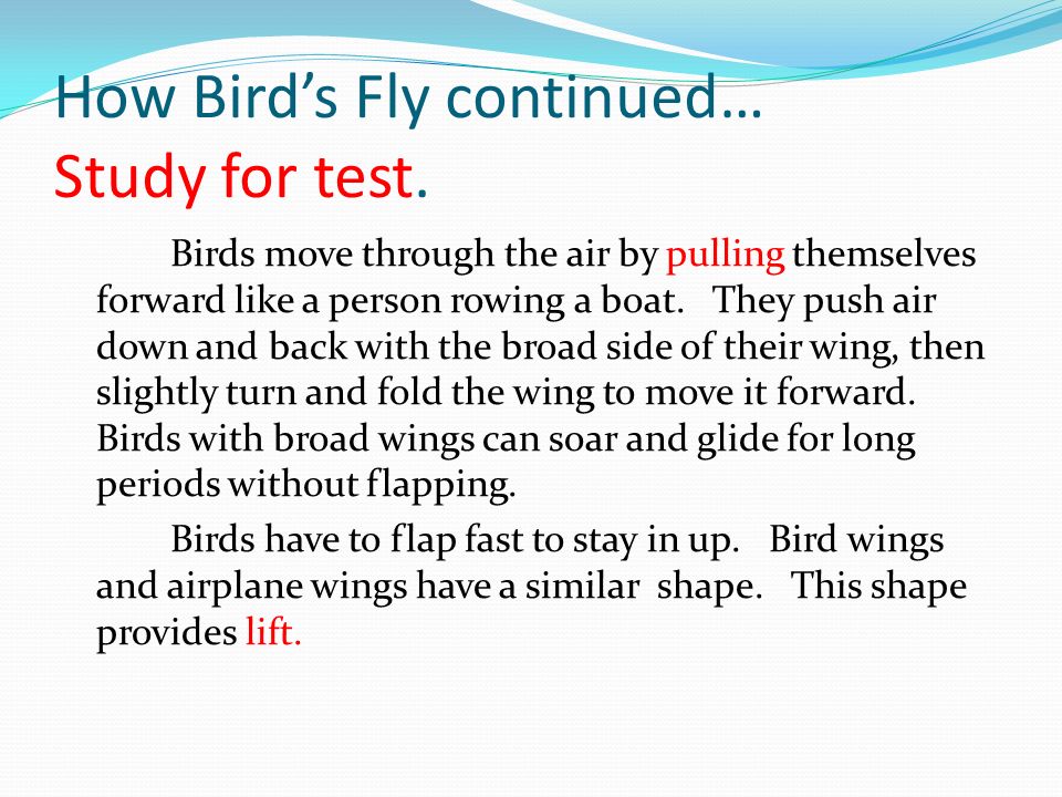 How Bird’s Fly continued… Study for test.