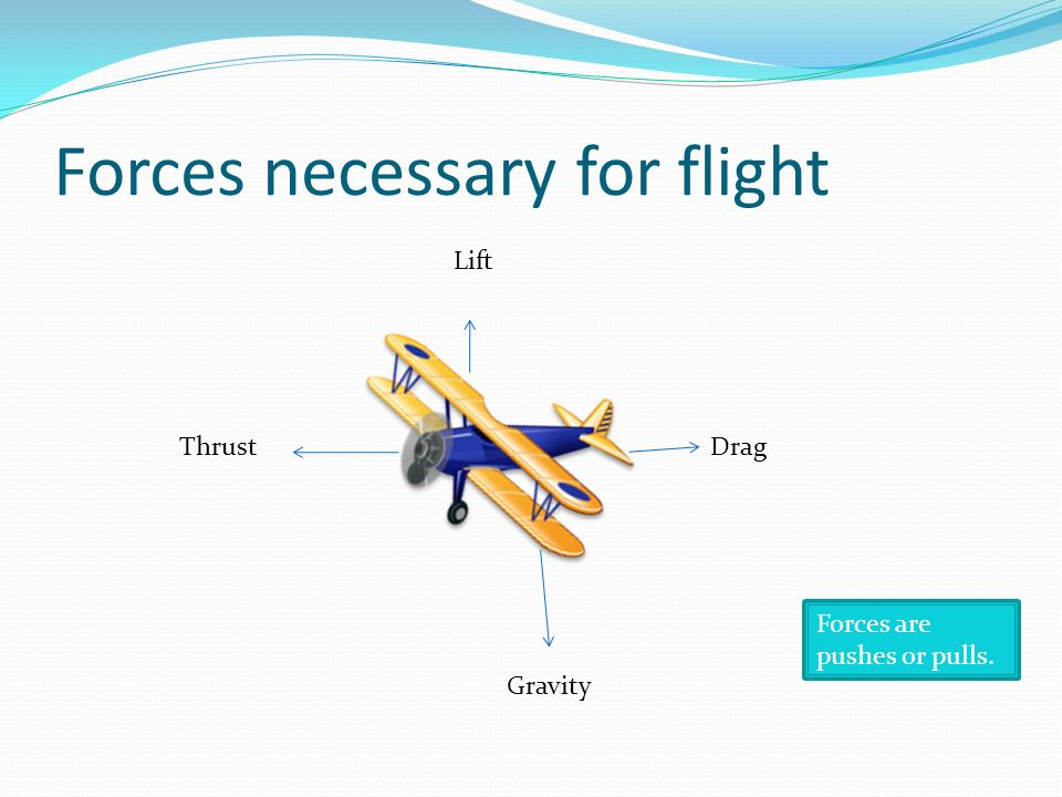 Forces necessary for flight