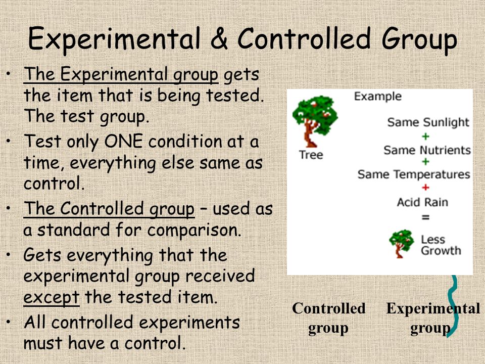 Experimental & Controlled Group