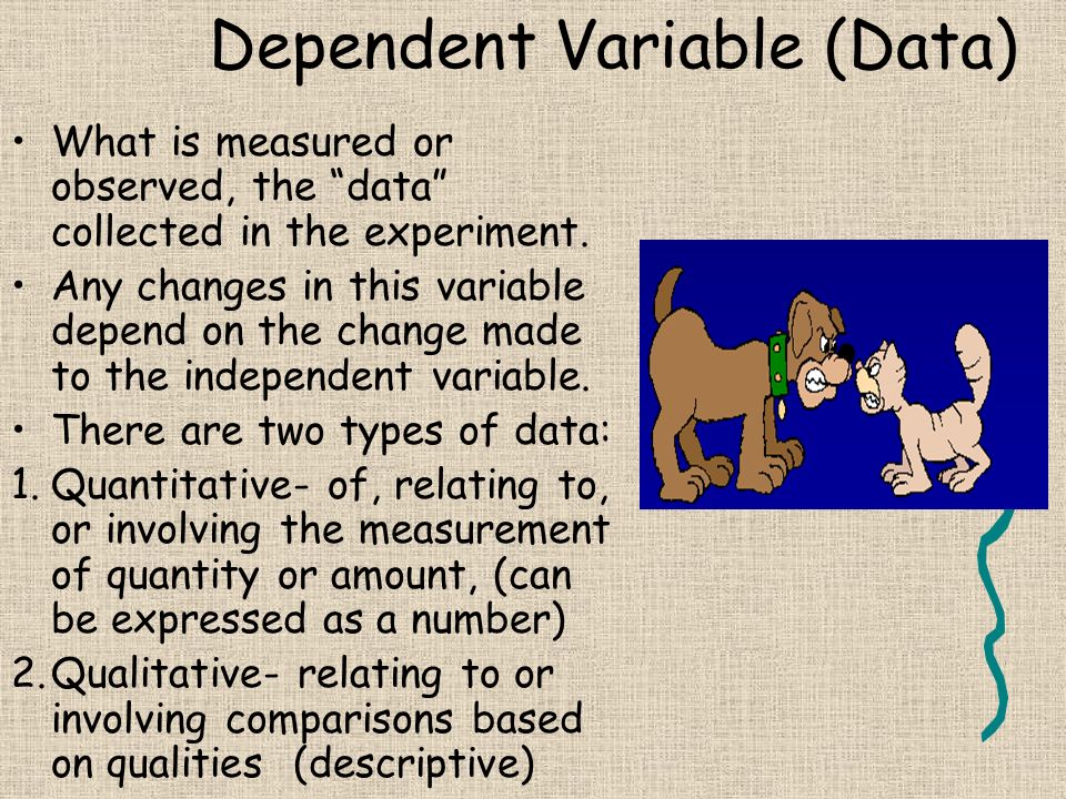 Dependent Variable (Data)