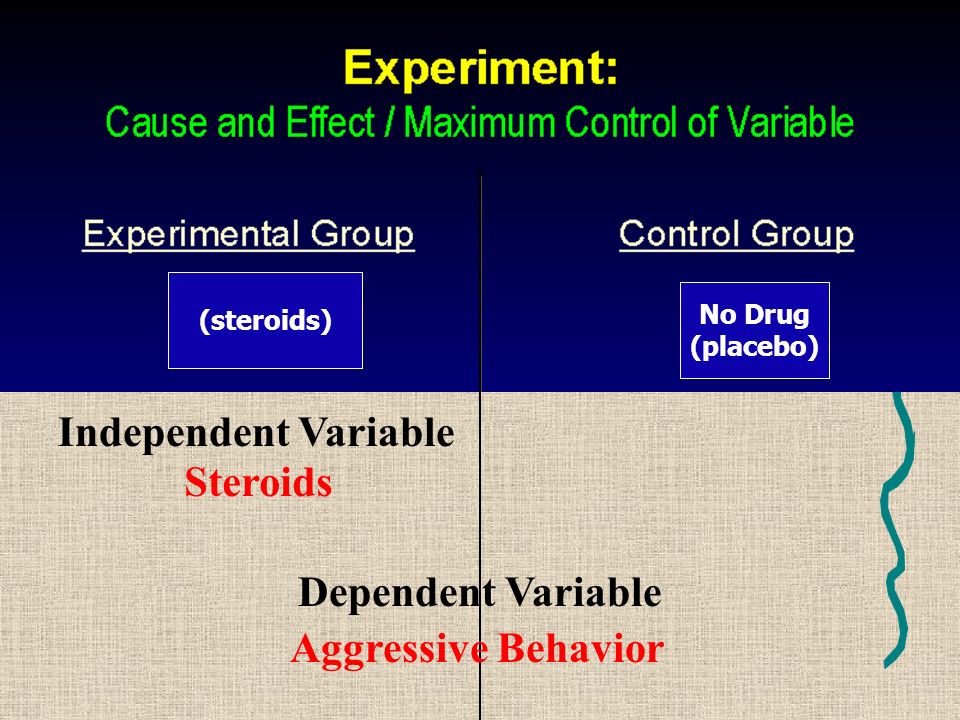 Independent Variable Steroids Dependent Variable Aggressive Behavior