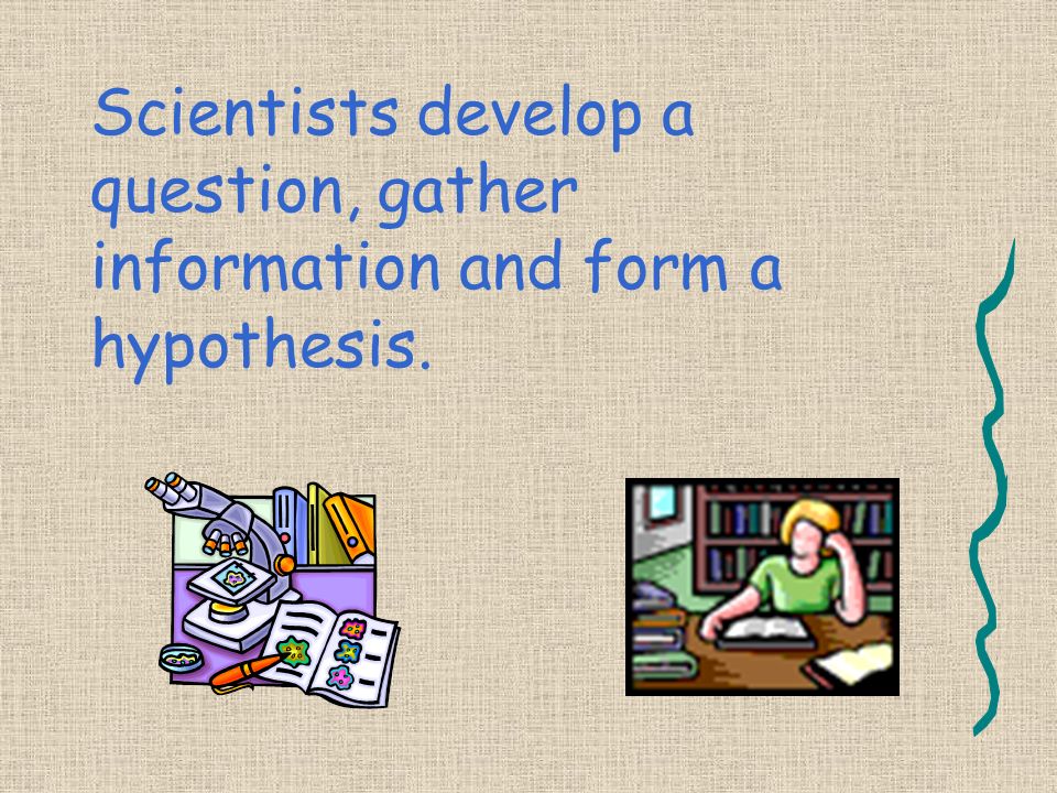 Scientists develop a question, gather information and form a hypothesis.
