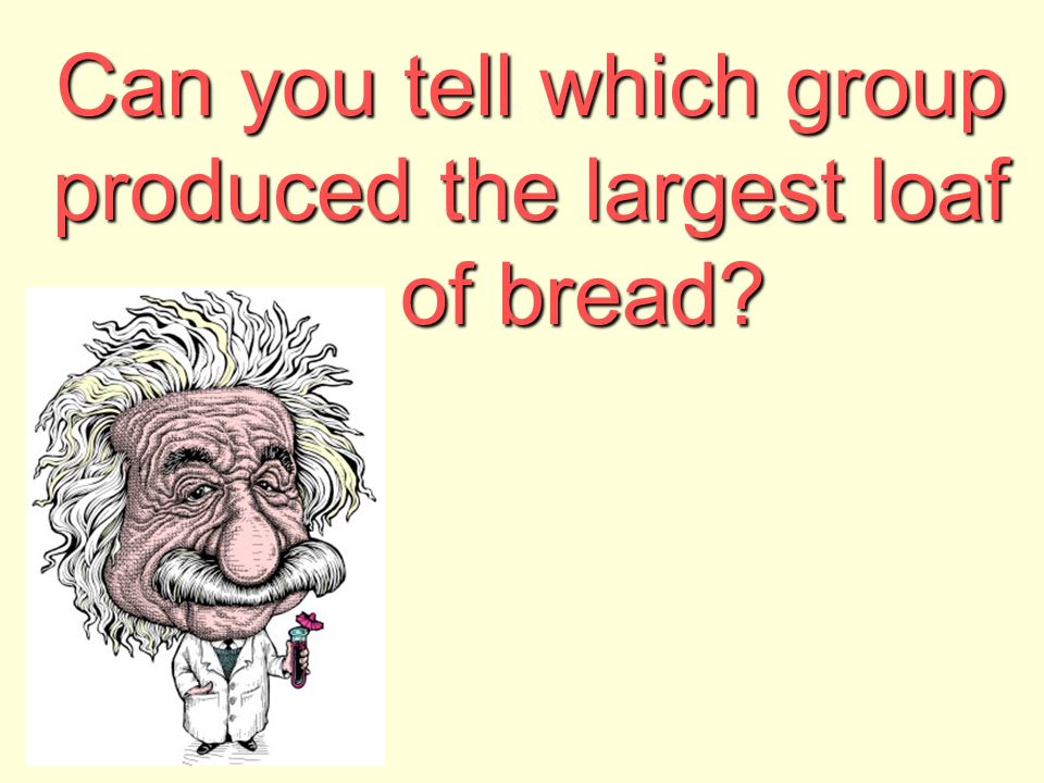 Can you tell which group produced the largest loaf of bread