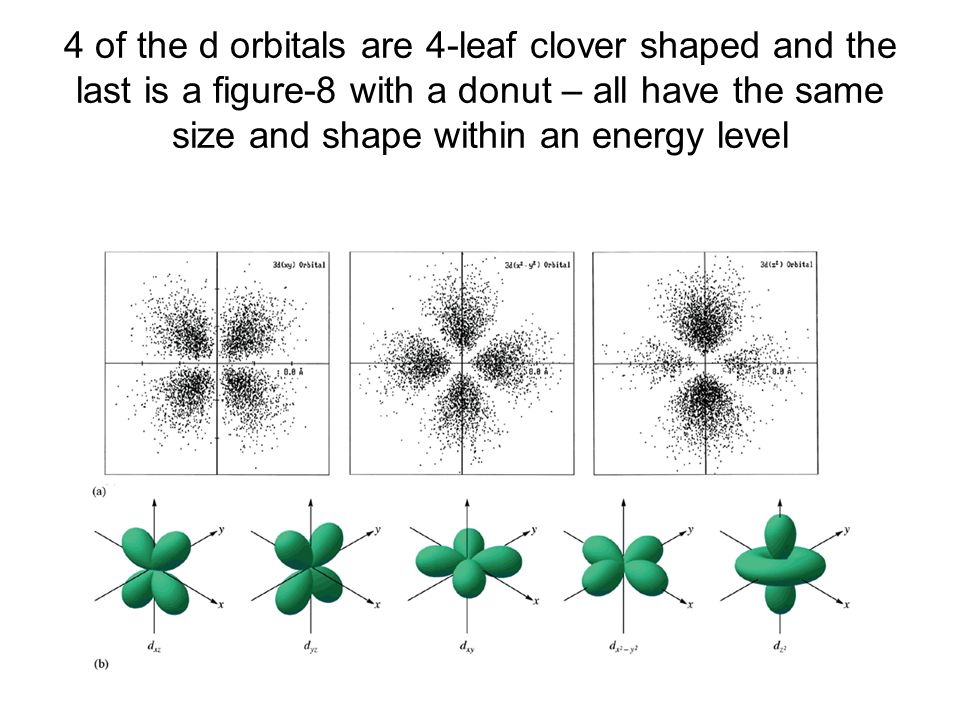 4 of the d orbitals are 4-leaf clover shaped and the last is a figure-8 with a donut – all have the same size and shape within an energy level