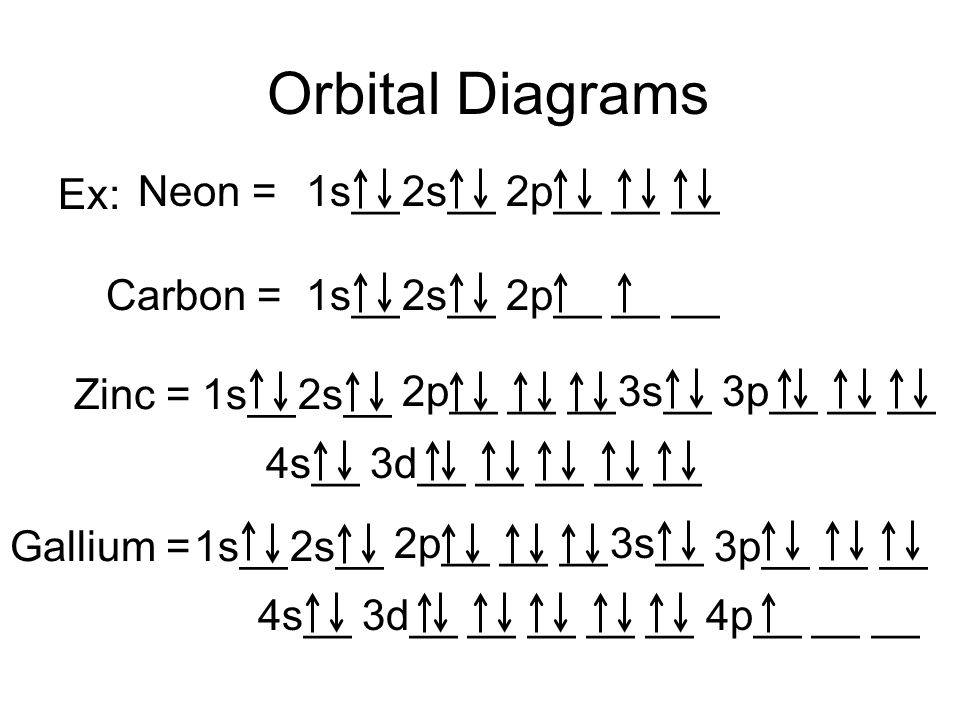Orbital Diagrams Neon = 1s__ 2s__ 2p__ __ __ Ex: Carbon = 1s__ 2s__