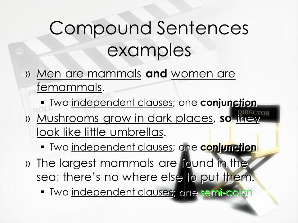 Compound Sentences examples