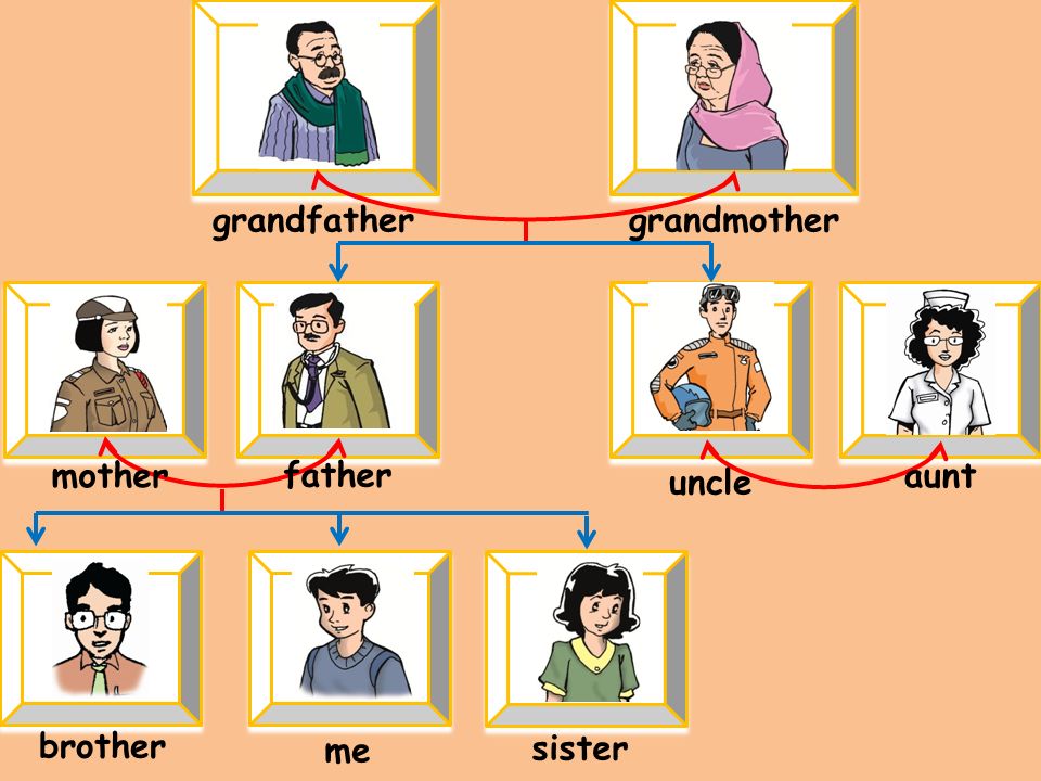 grandfather grandmother mother father uncle aunt brother me sister