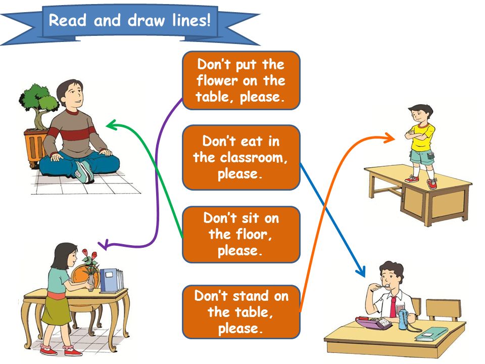 Read and draw lines! Don’t put the flower on the table, please.