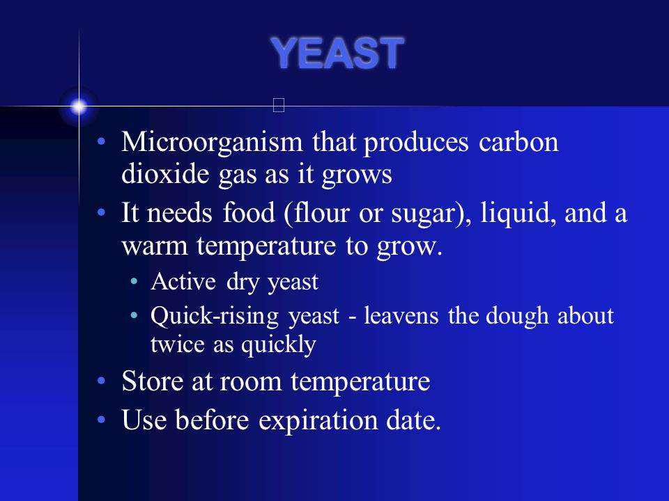 YEAST Microorganism that produces carbon dioxide gas as it grows
