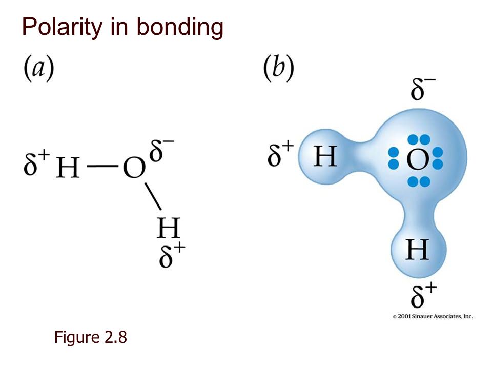 В молекуле br2 связь