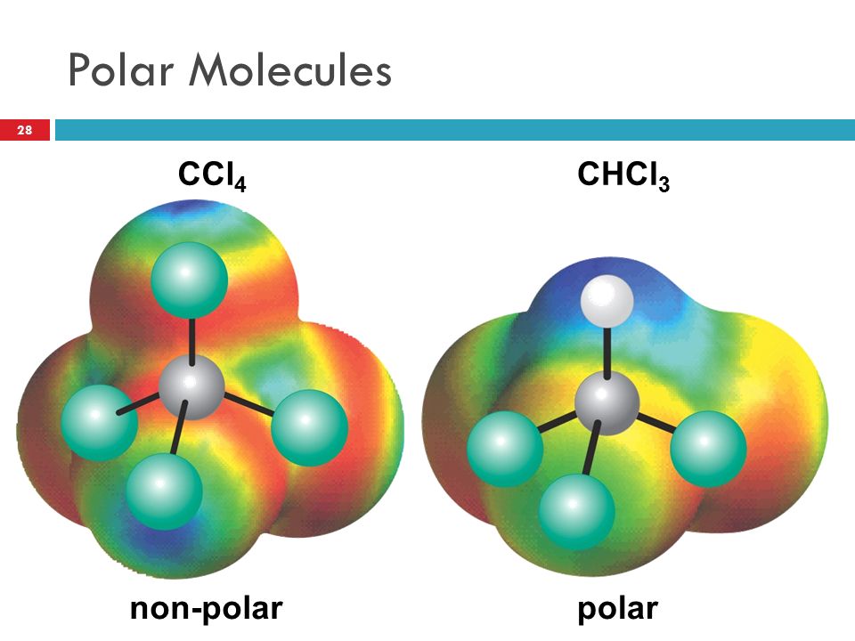 Polar Molecules. non-polar. polar. 