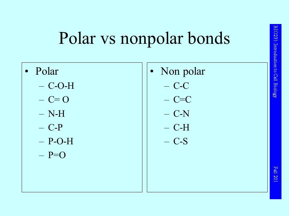 Molecules And Functional Groups Ppt Download