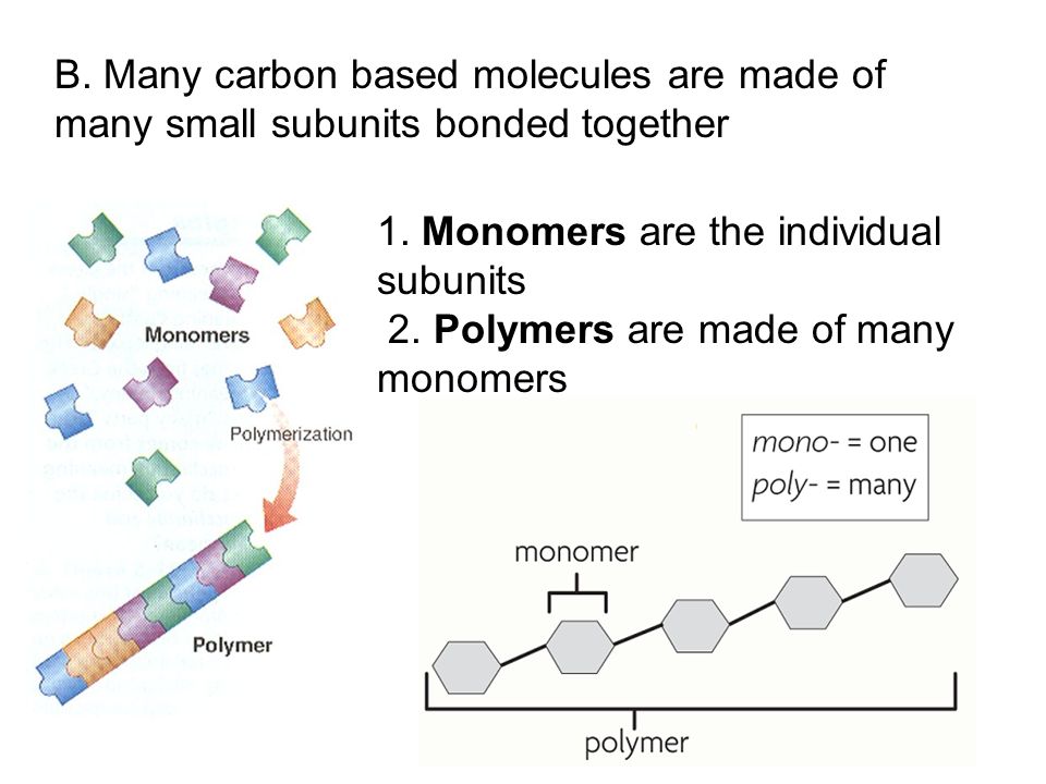 1. Monomers are the individual subunits