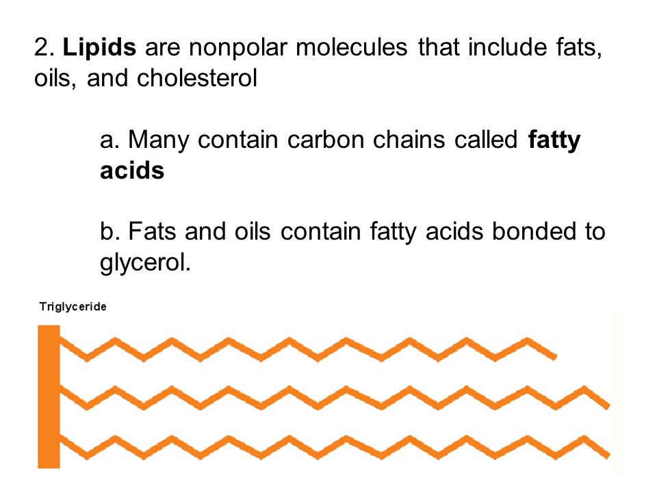 a. Many contain carbon chains called fatty acids
