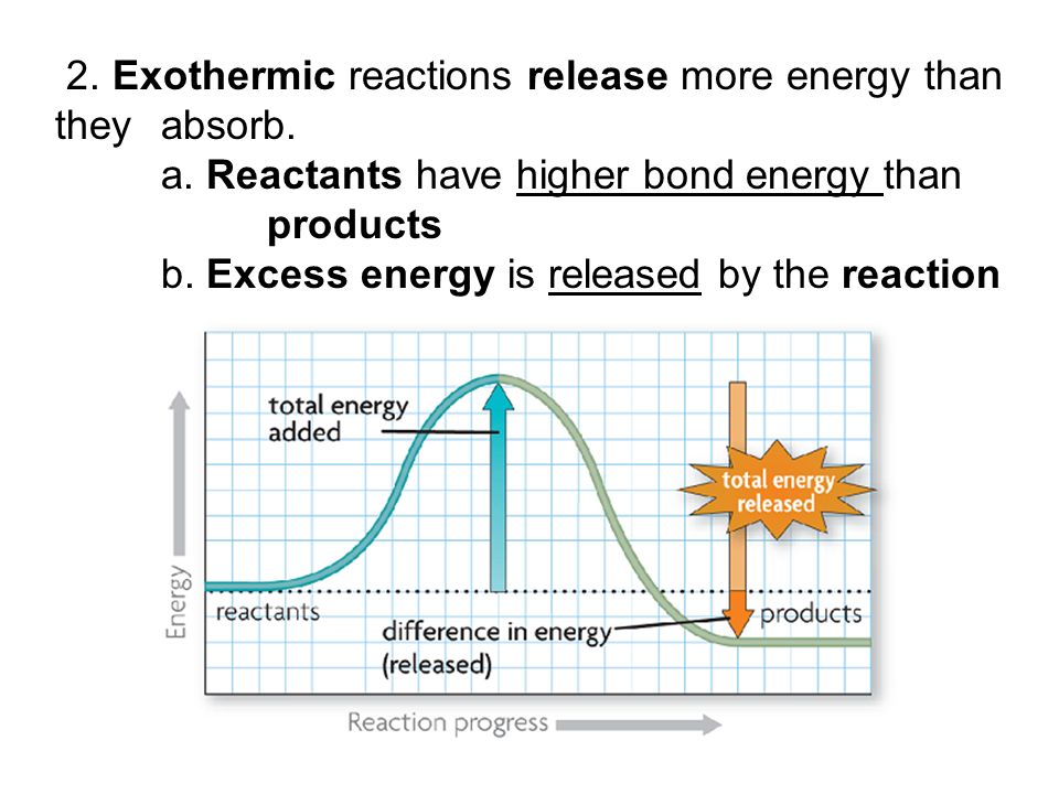 2. Exothermic reactions release more energy than they absorb.
