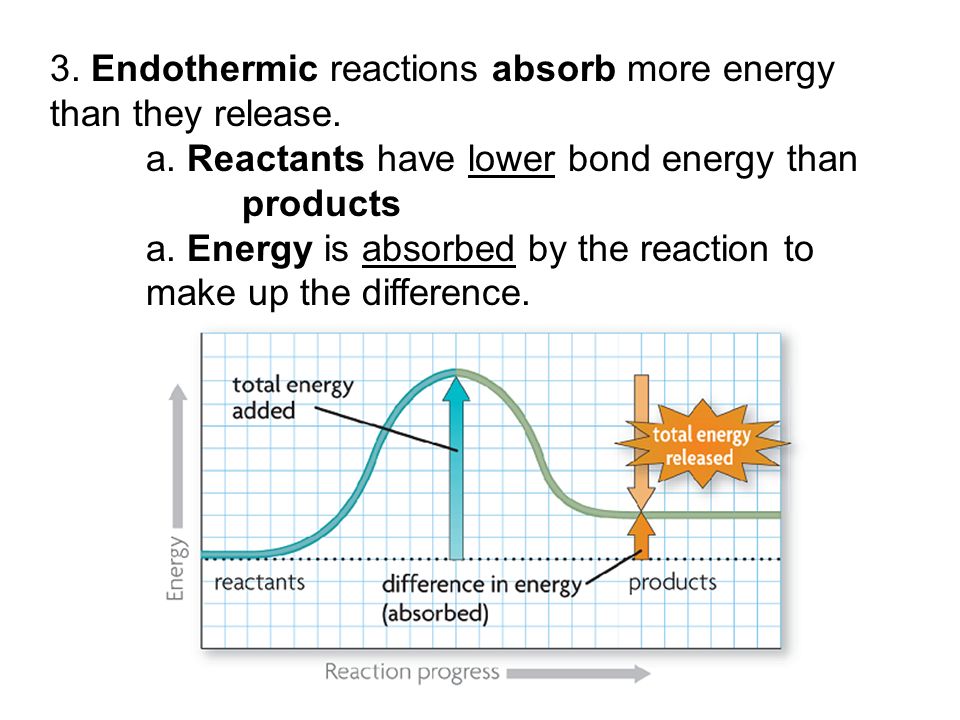 3. Endothermic reactions absorb more energy than they release.