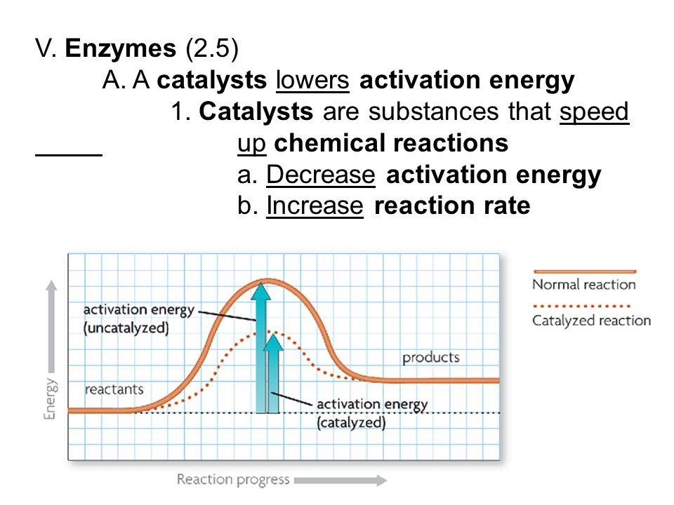A. A catalysts lowers activation energy