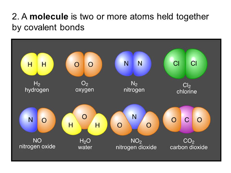 2. A molecule is two or more atoms held together by covalent bonds
