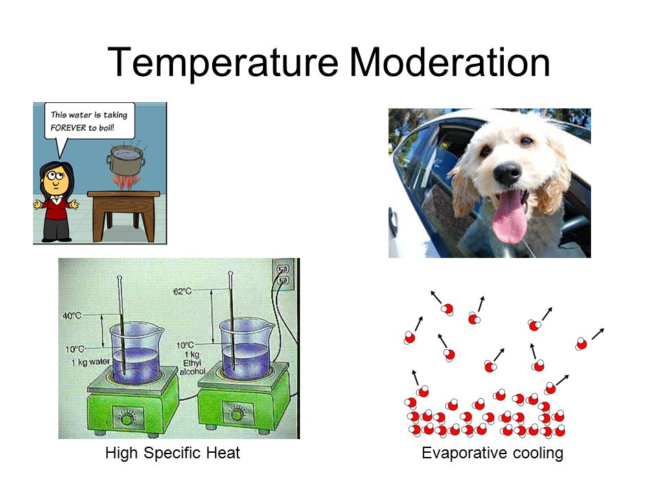 Temperature Moderation
