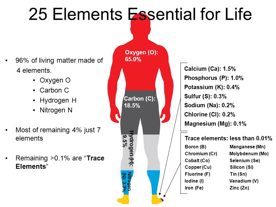 25 Elements Essential for Life