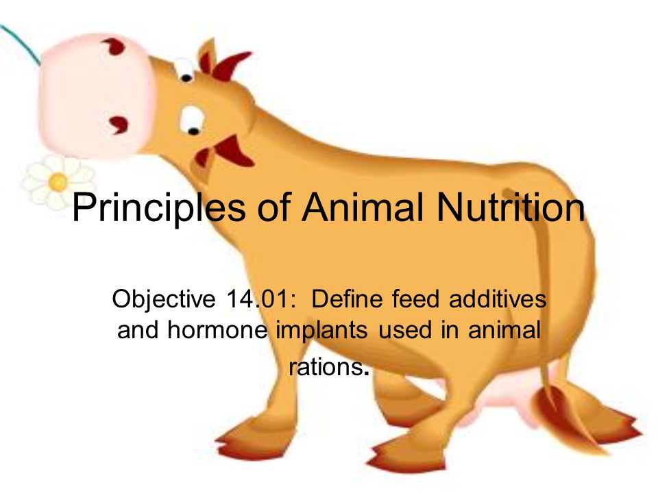 Principles of Animal Nutrition - ppt video online download