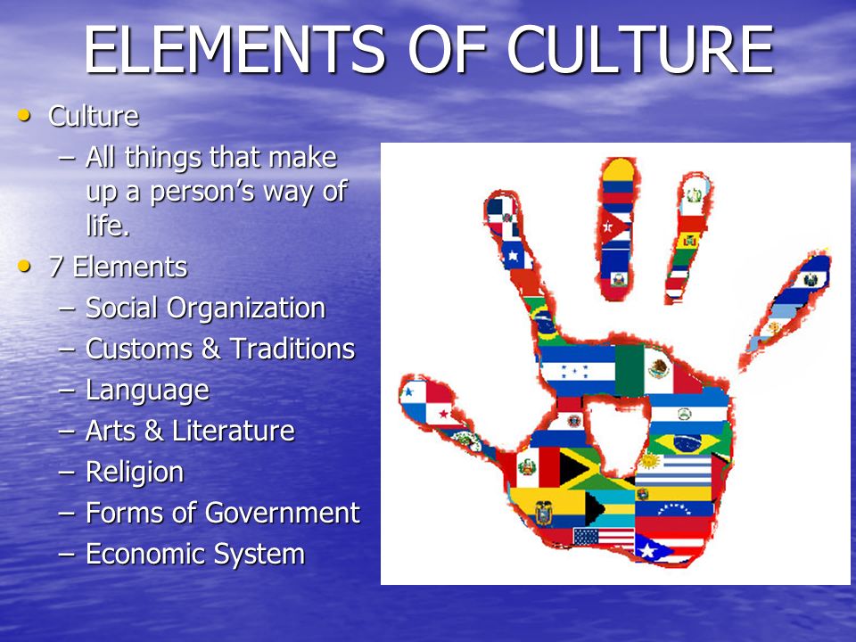 main elements of culture