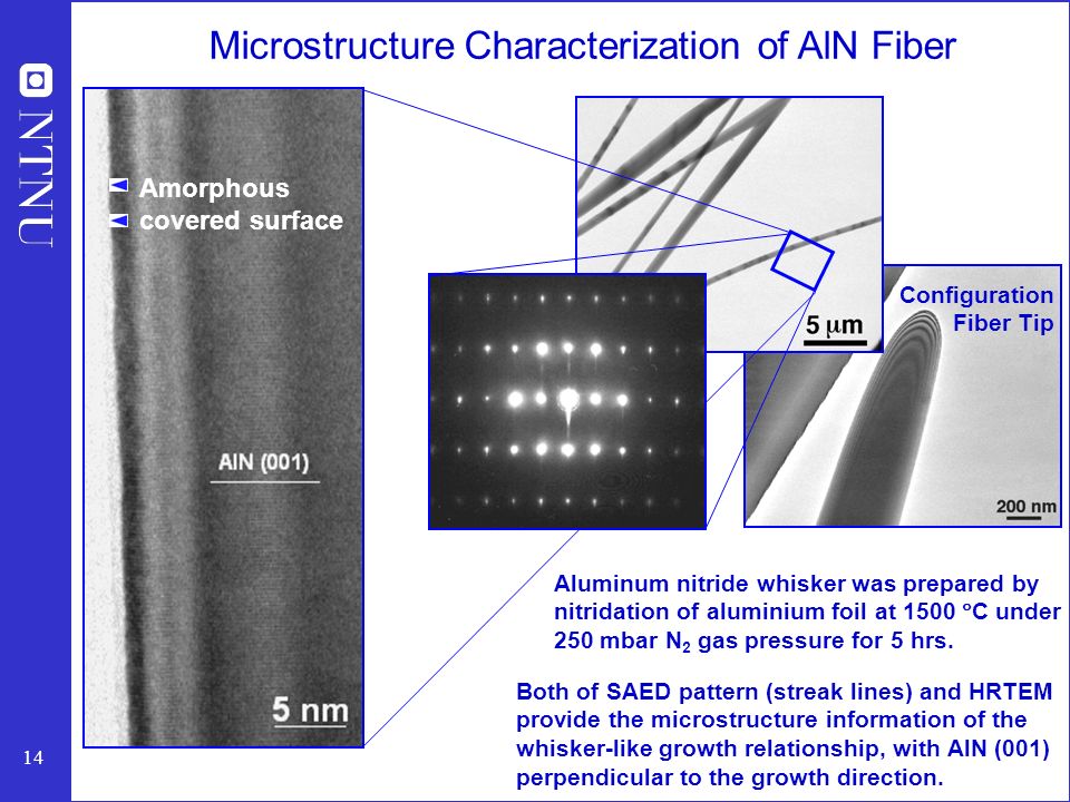 Microstructure Characterization of AlN Fiber