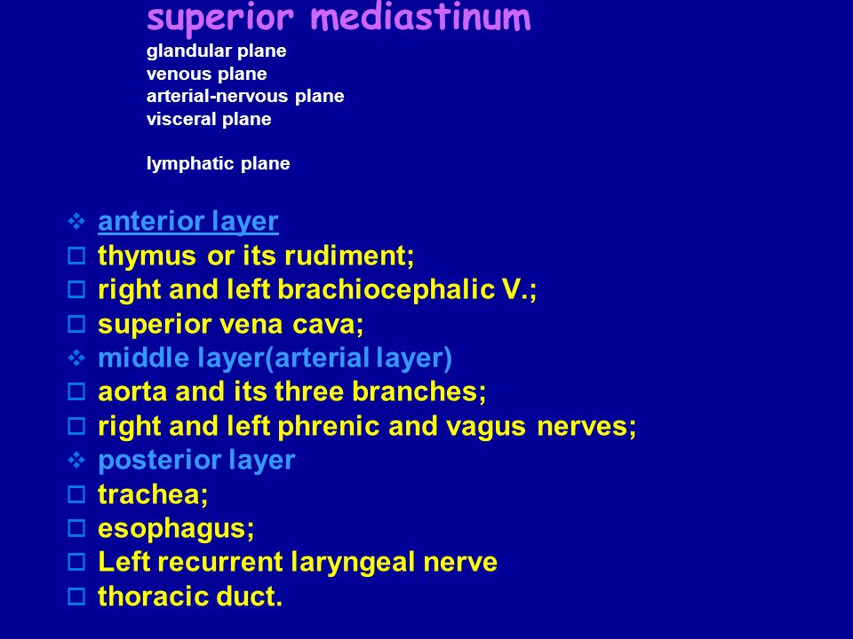 superior mediastinum glandular plane venous plane arterial-nervous plane visceral plane lymphatic plane