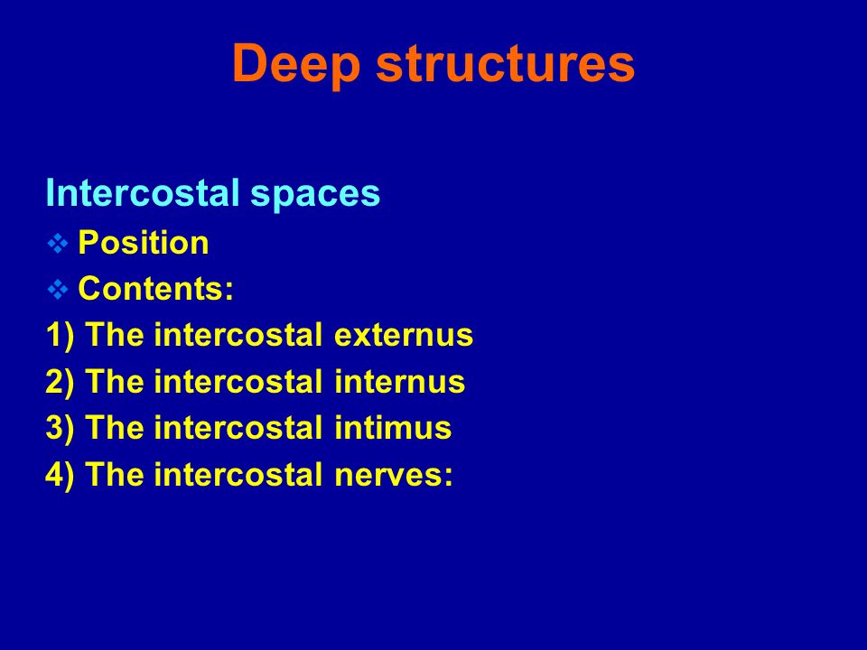 Deep structures Intercostal spaces Position Contents: