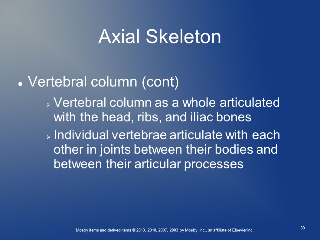 Axial Skeleton Vertebral column (cont)