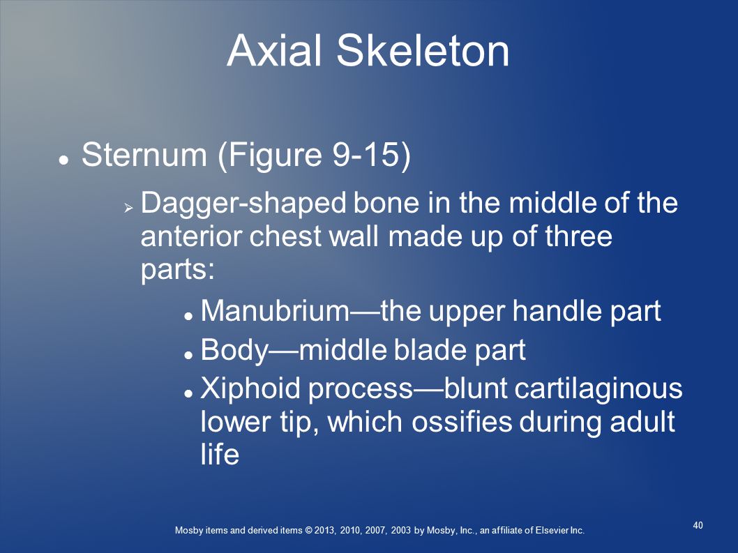 Axial Skeleton Sternum (Figure 9-15)