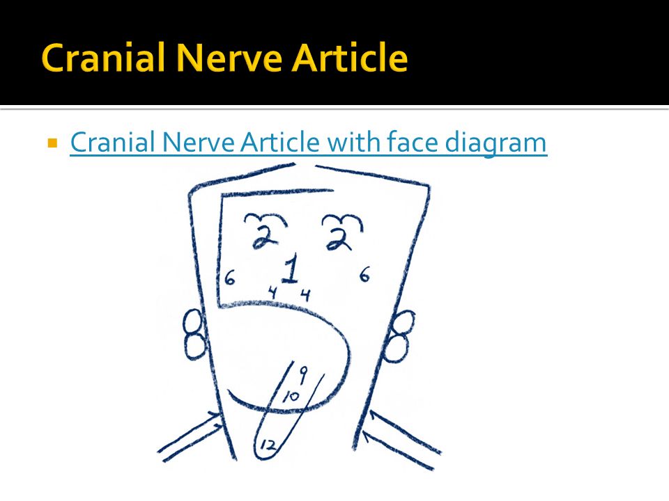 Cranial Nerve Face Chart