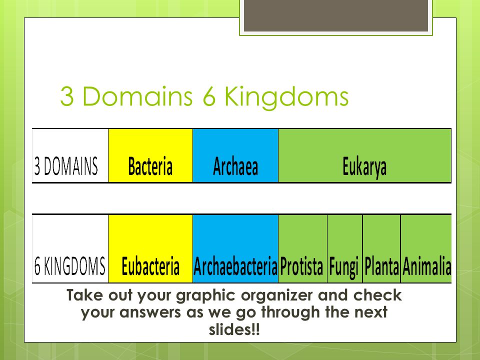 Domains and Kingdoms 17.3 pages ppt download