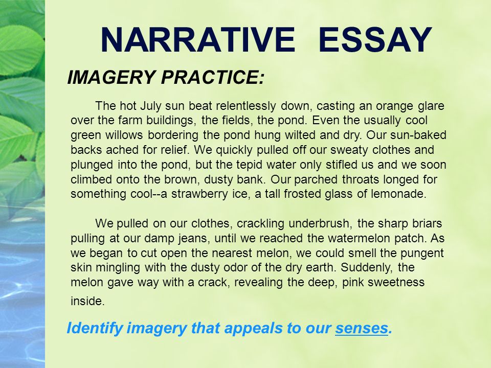 imagery essay
