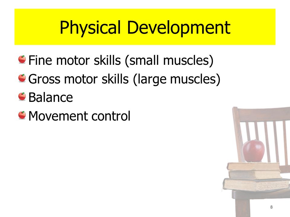 Physical Development Fine motor skills (small muscles)