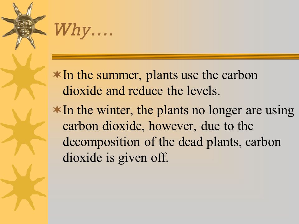 Why…. In the summer, plants use the carbon dioxide and reduce the levels.
