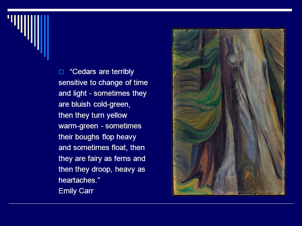 Cedars are terribly sensitive to change of time. and light - sometimes they. are bluish cold-green,
