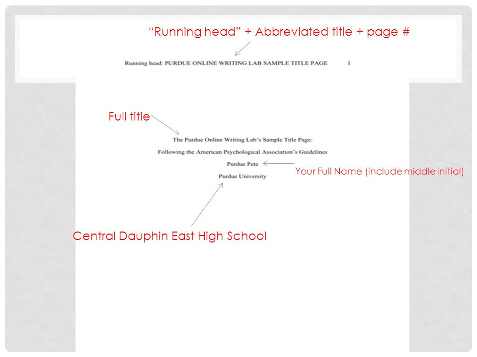 Running head + Abbreviated title + page #