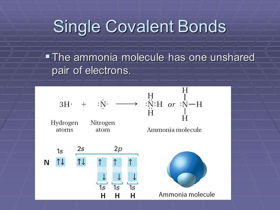 8.2 Single Covalent Bonds The ammonia molecule has one unshared pair of electrons.