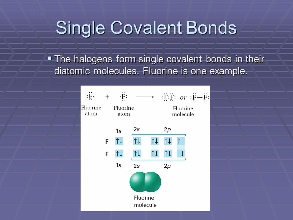 8.2 Single Covalent Bonds. The halogens form single covalent bonds in their diatomic molecules.