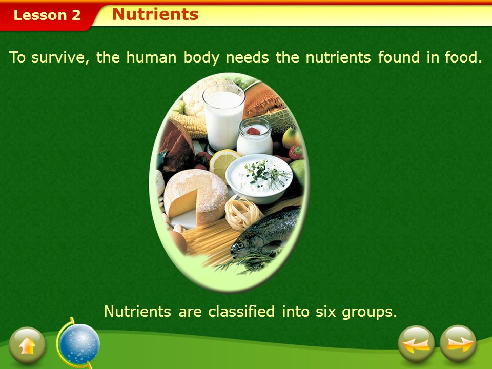 Nutrients To survive, the human body needs the nutrients found in food.