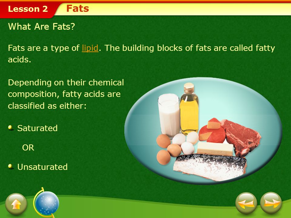 Fats What Are Fats Fats are a type of lipid. The building blocks of fats are called fatty acids.