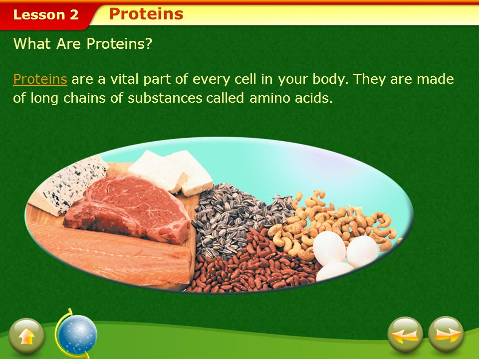 Proteins What Are Proteins